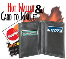 (image for) Hot Wallet and Card to Wallet Combo